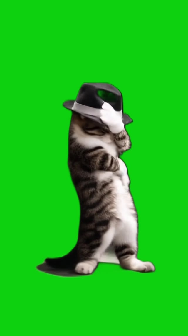 Cat dancing like Michael Jackson green screen
