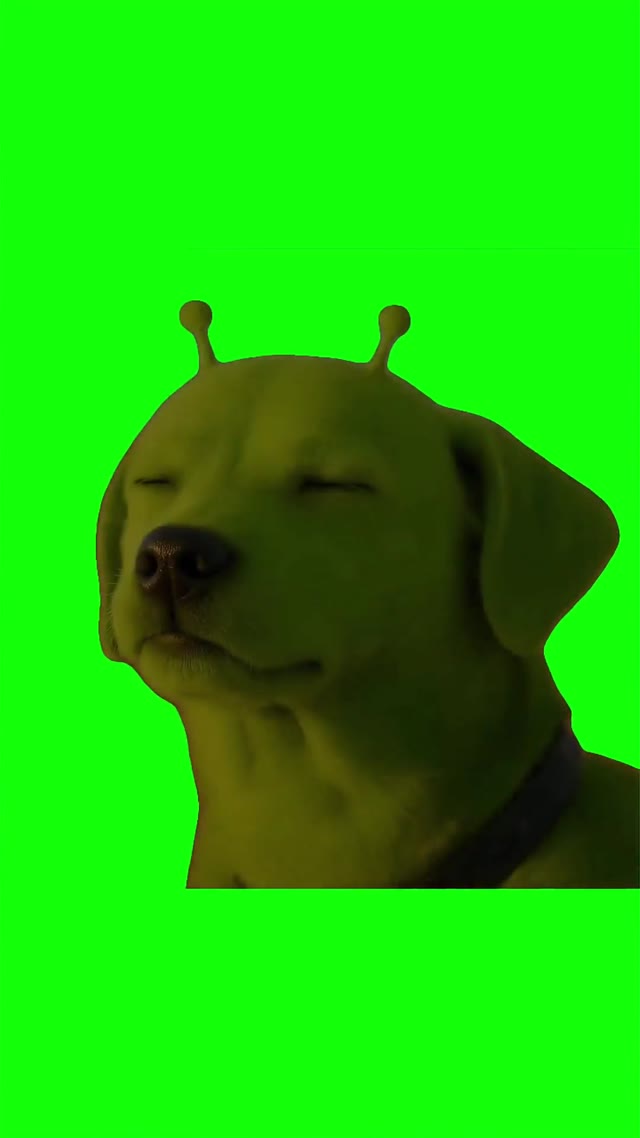 Ahhh gog green screen