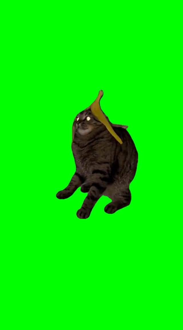Ahlelele ahlelas Green  green screen