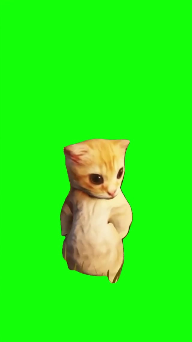 Ay mi gatito mia mia green screen