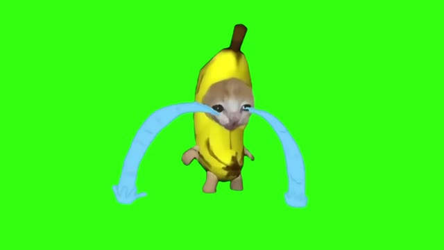 Banana cat crying green screen