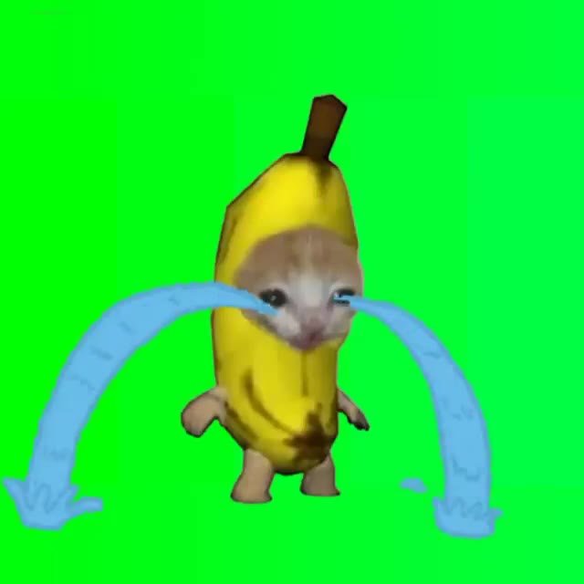 Banana cat crying green screen