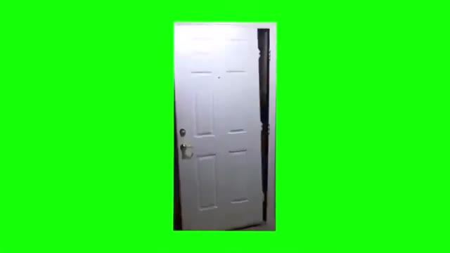 Big Bird Opens Door green screen
