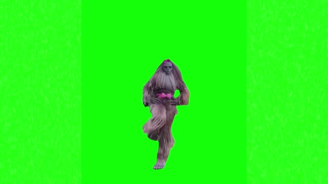 Big foot dancing green screen