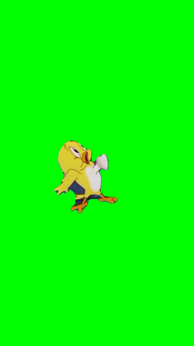 Bird in love green screen