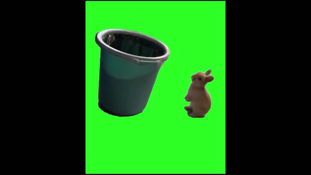 Bunny Jumping in Trash Can green screen