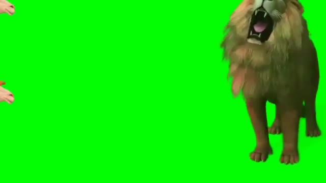 Cartoon Animal Animals running green screen green screen