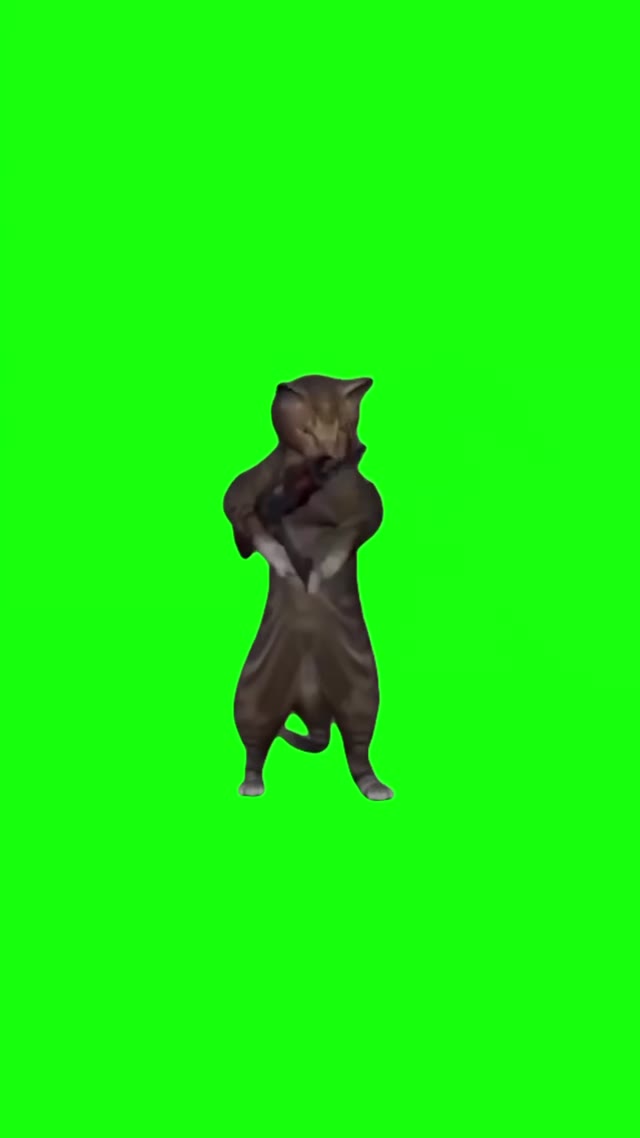 Cat Shooting AK green screen