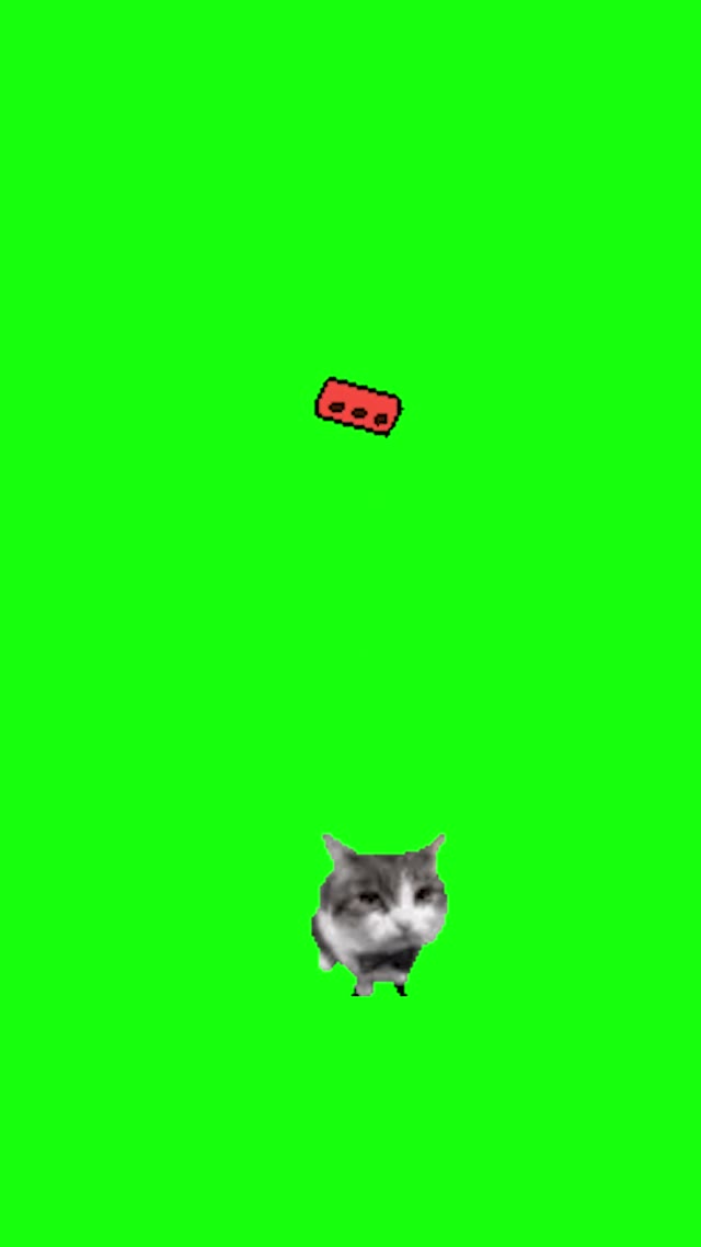 Cat throwing a brick green screen