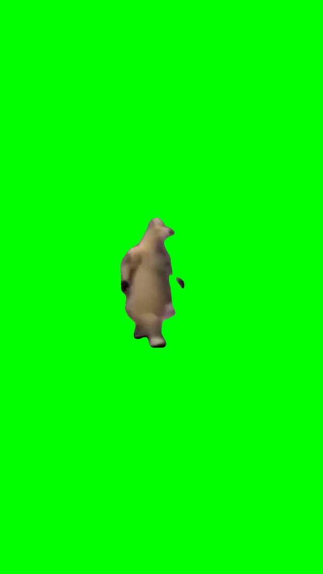 Cow milk spray green screen