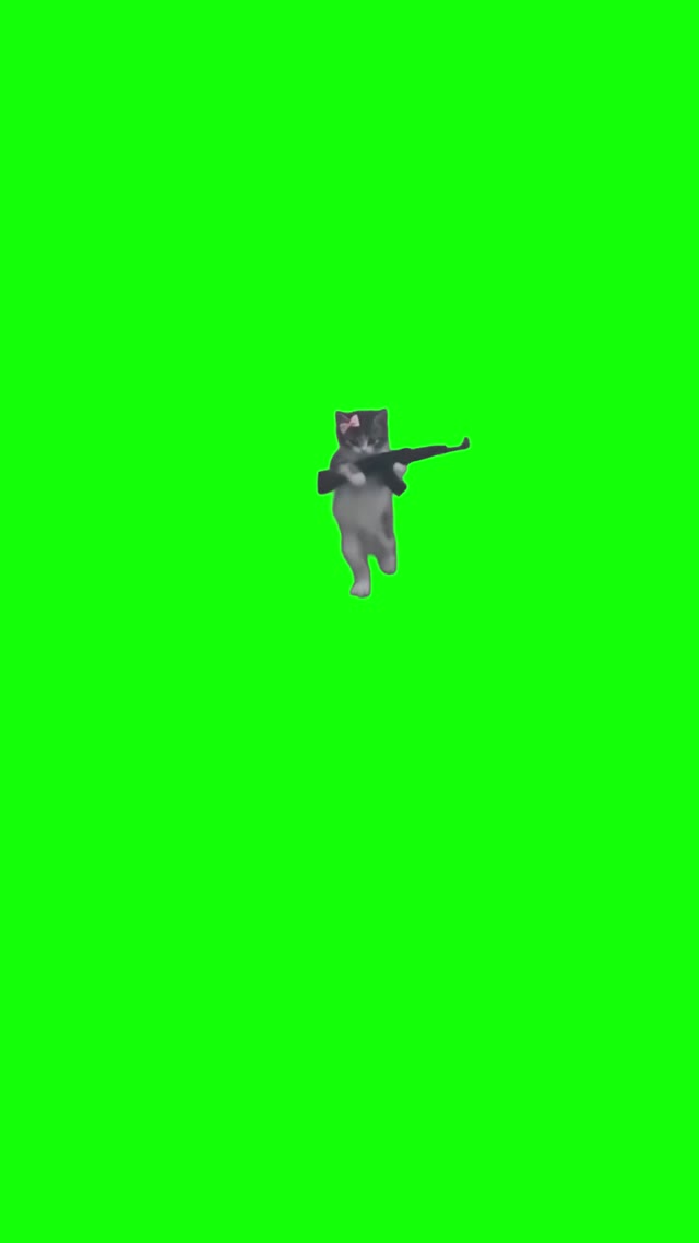 Cute Kitten Firing AK green screen