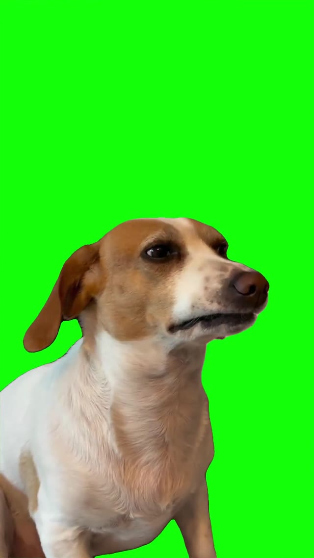 Dino dog sus look green screen