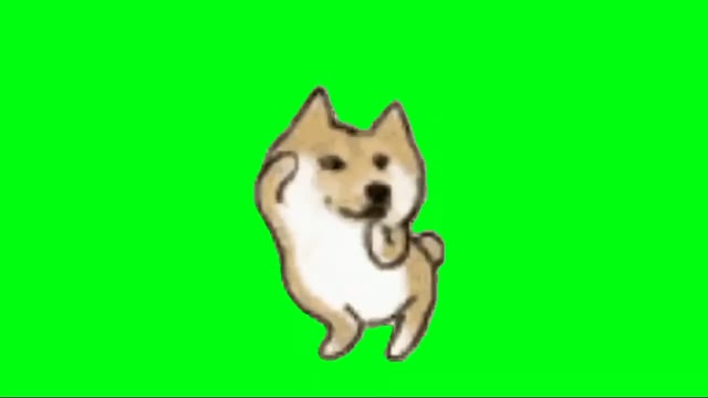 Dog Dancing green screen