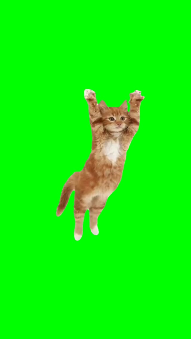 Everyone do the flop  green screen