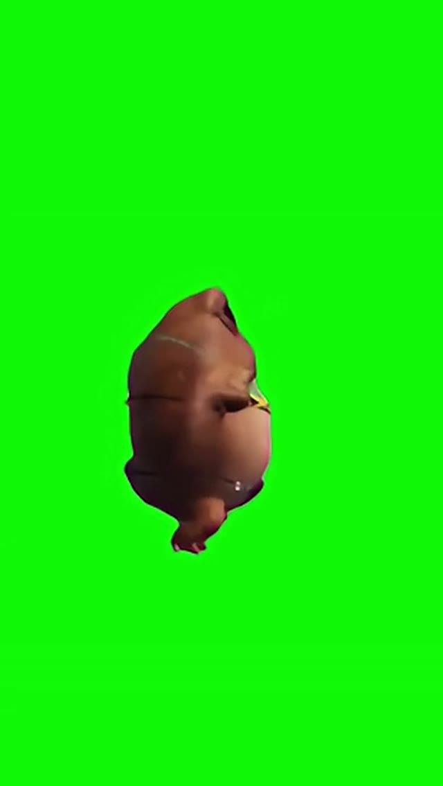 Frog bikini dance green screen