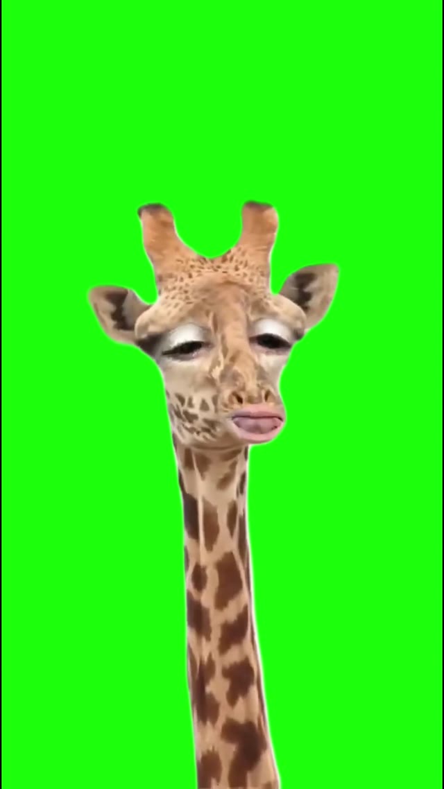 Guten Morgen _ green screen