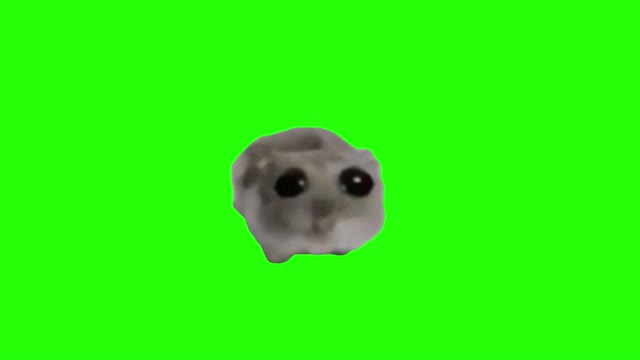 Hampter template green screen