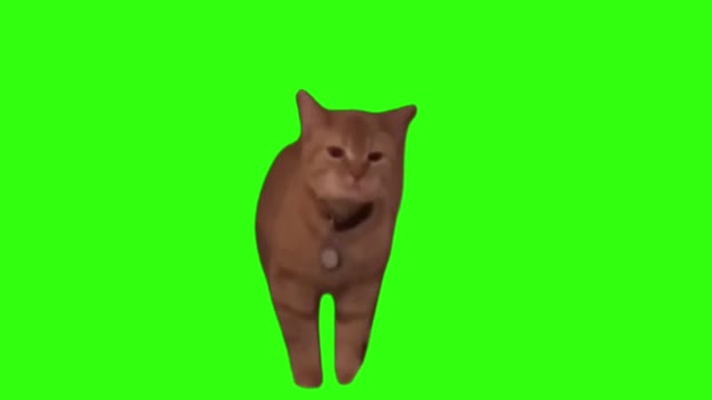 I go meow green screen
