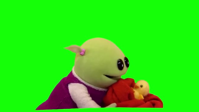 Im Gonna Take Care of You Birdy green screen