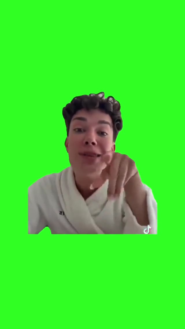 James Charles To Spirit Airline Worker Youre Entitled Piece Of S green screen