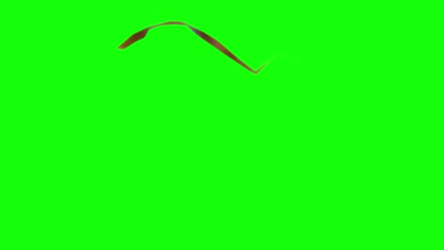 John Cena are you sure about that green screen