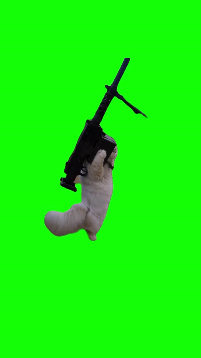 Kitten With A Machine Gun green screen
