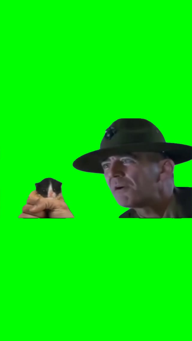 Let me see your war face green screen