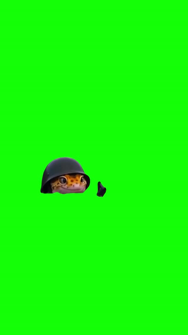 Lizard Shooting Ak green screen