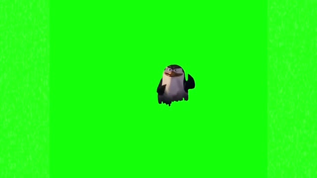 Madagascar penguins you didnt see us green screen