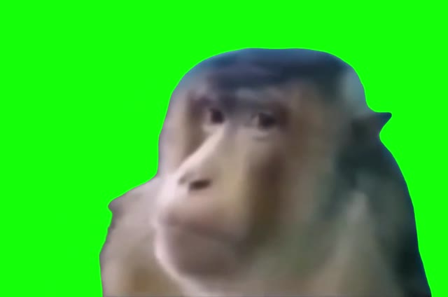 Monkey FNAF Sound green screen
