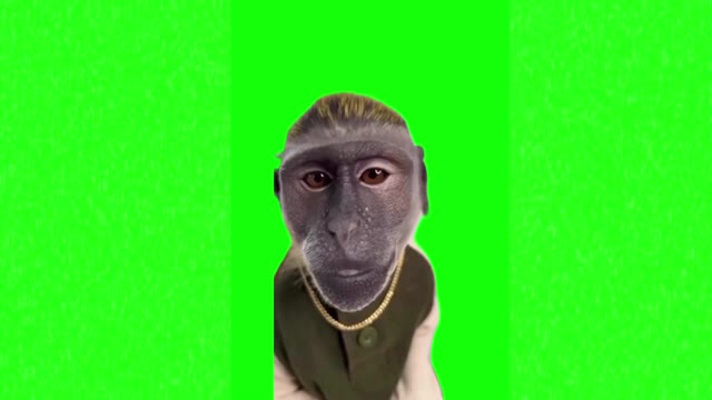 Monkey with drip green screen