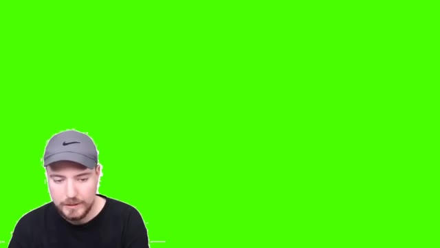 MrBeast Hits Subscriber Goal green screen