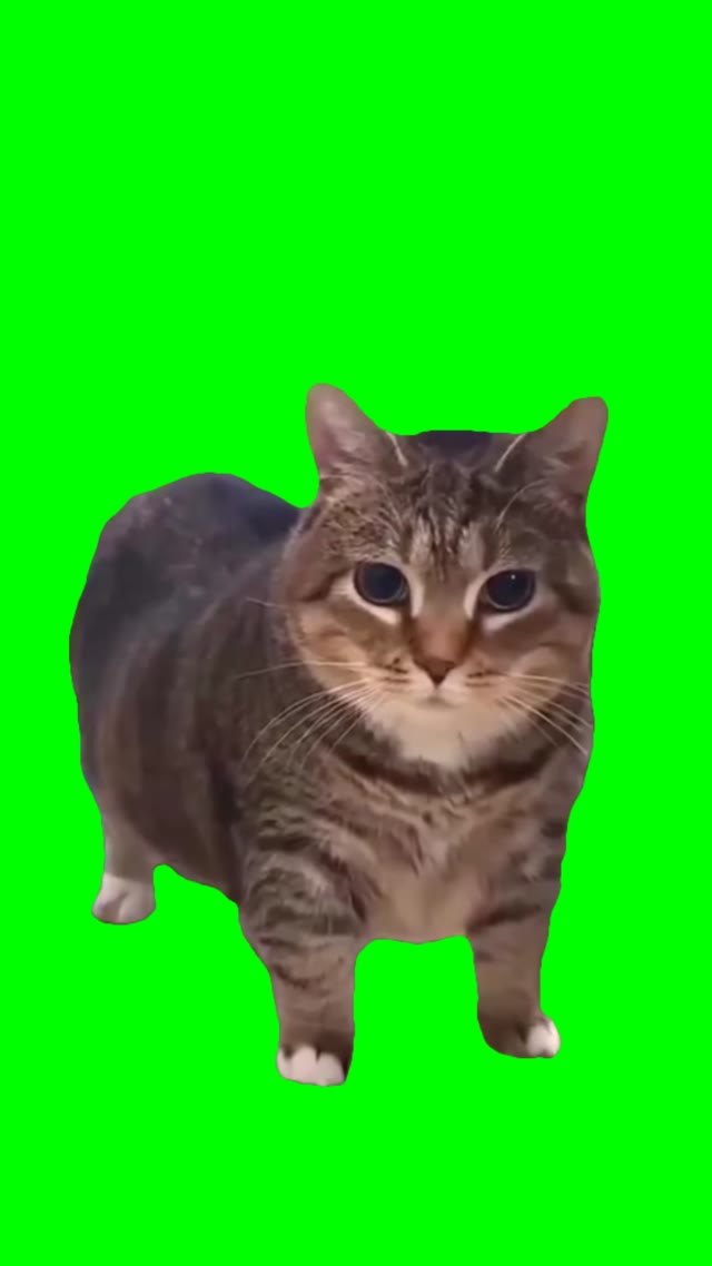 Ooiiaaa subsurfer green screen