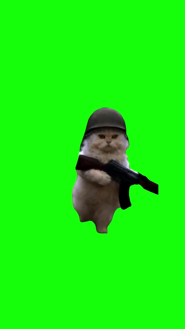 Oscar Shoots Ak green screen