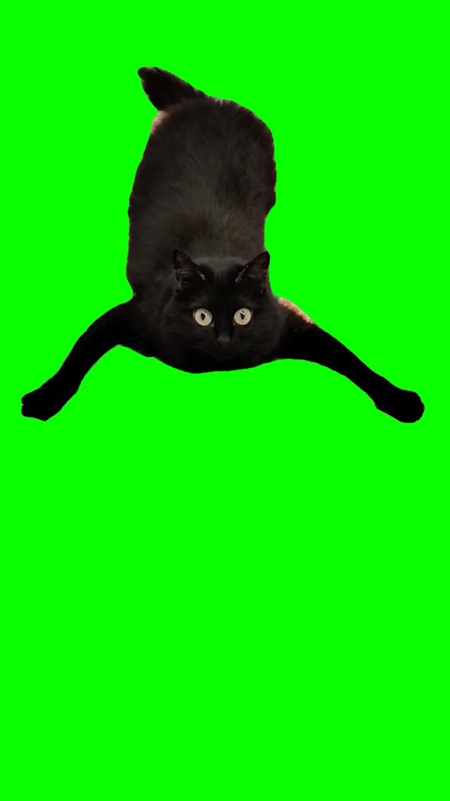 Prey Watching green screen