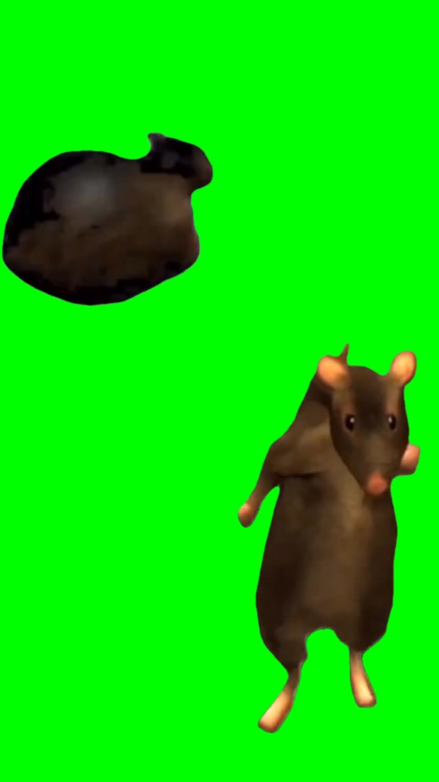 Rat and Ooiiaa cat dance green screen