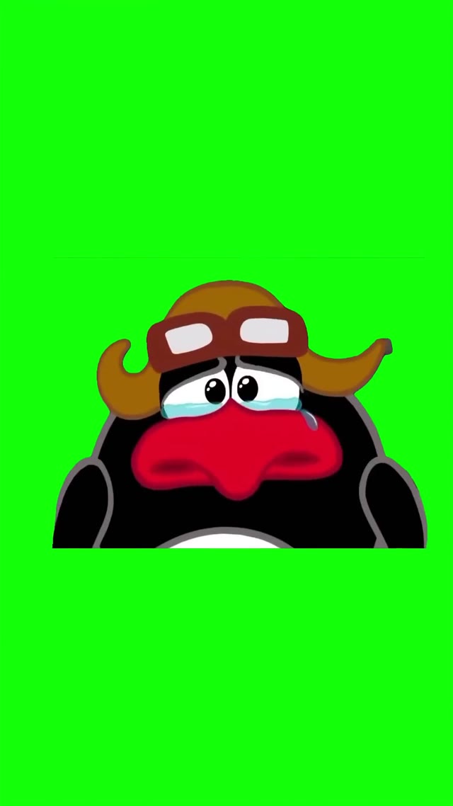 Sad penguin green screen