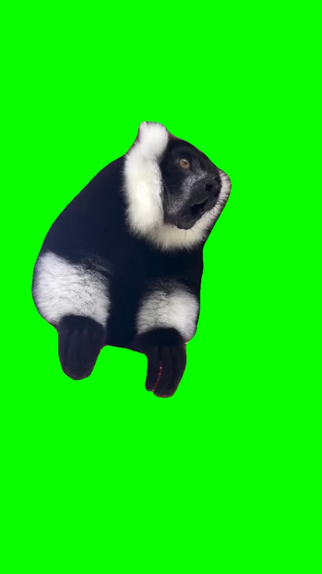 Screaming Animal green screen