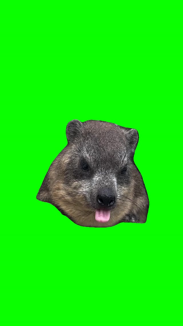 Showing tongue green screen