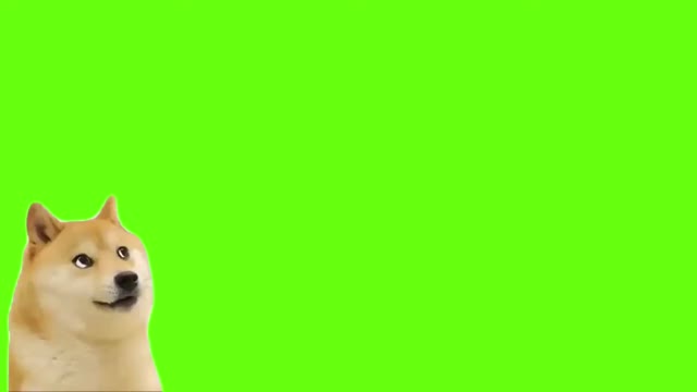 Skittles Doge green screen