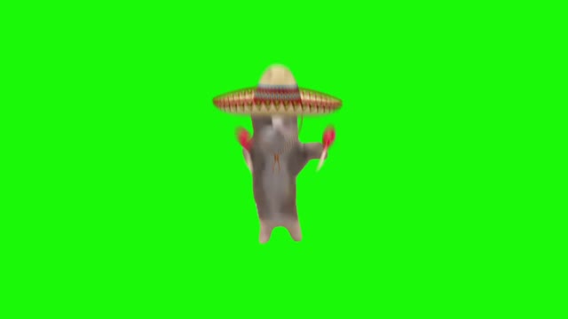 Spanish Happy Happy Happy Cat green screen