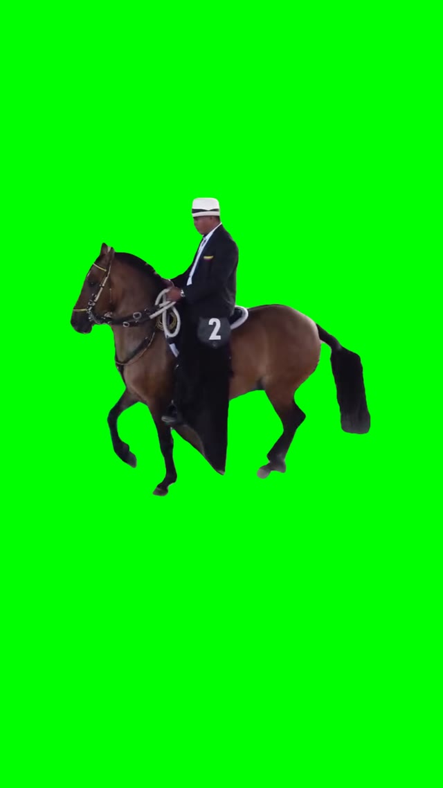 Stomping horse green screen
