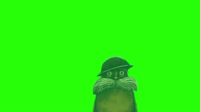The lorax 1000 yard stare green screen