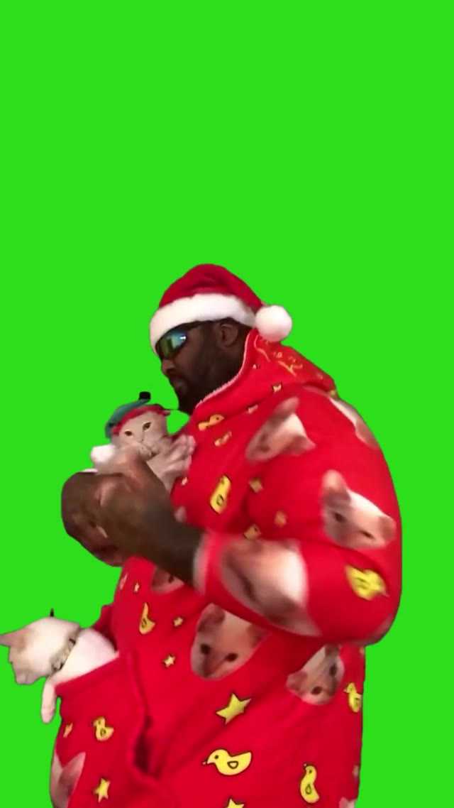 Time for Christmas cat cats pet pets catsofin green screen