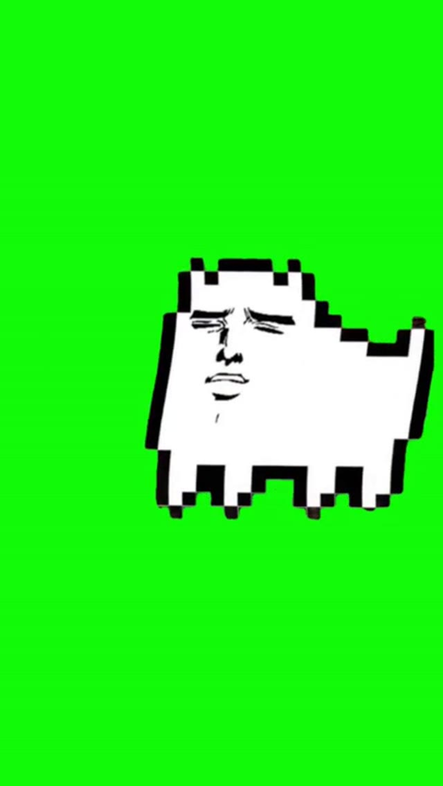 Toby cat  green screen