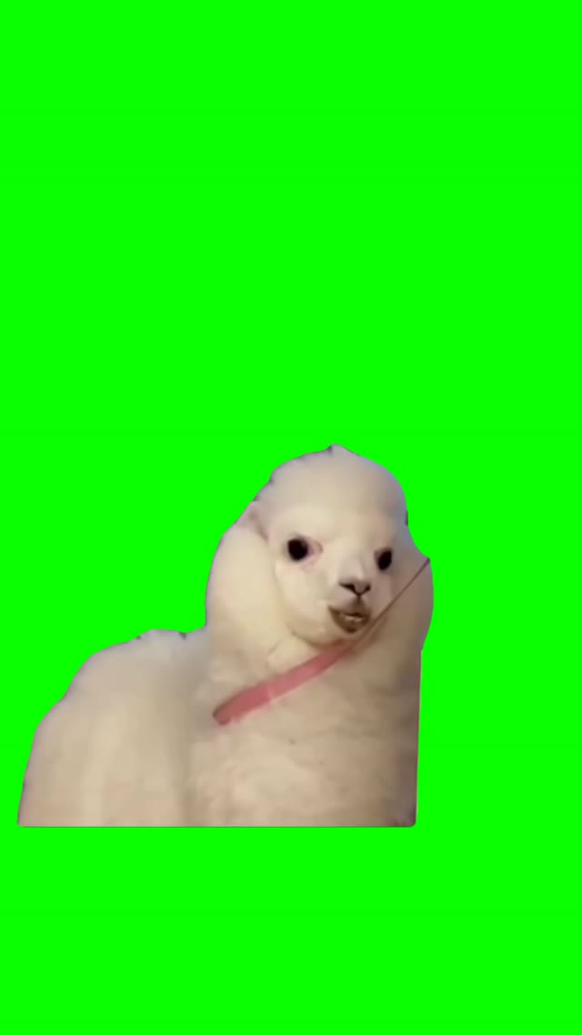 Toxic lama green screen