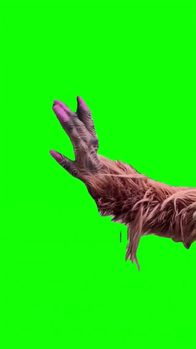 Tung tung tung Sahur gorilla Dance green screen