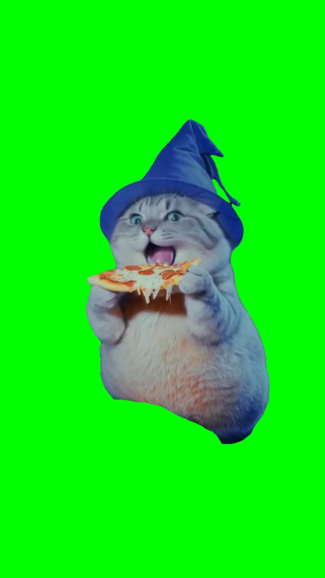 Wizard Cat Eating Pizza green screen