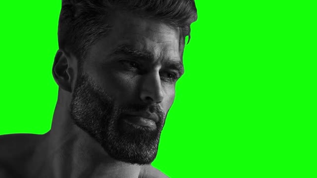 Average Chad Enjoyer green screen