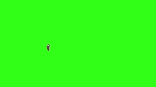 carl johnson Toyota green screen